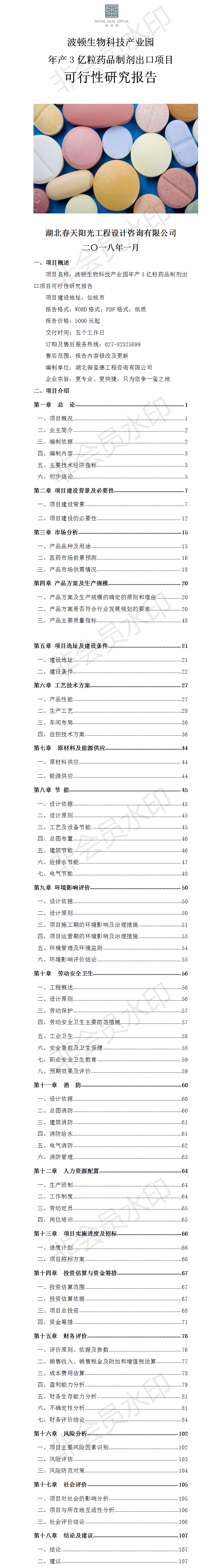 年產(chǎn)3億粒藥品制劑出口項目可行性研究報告 - 副本.png